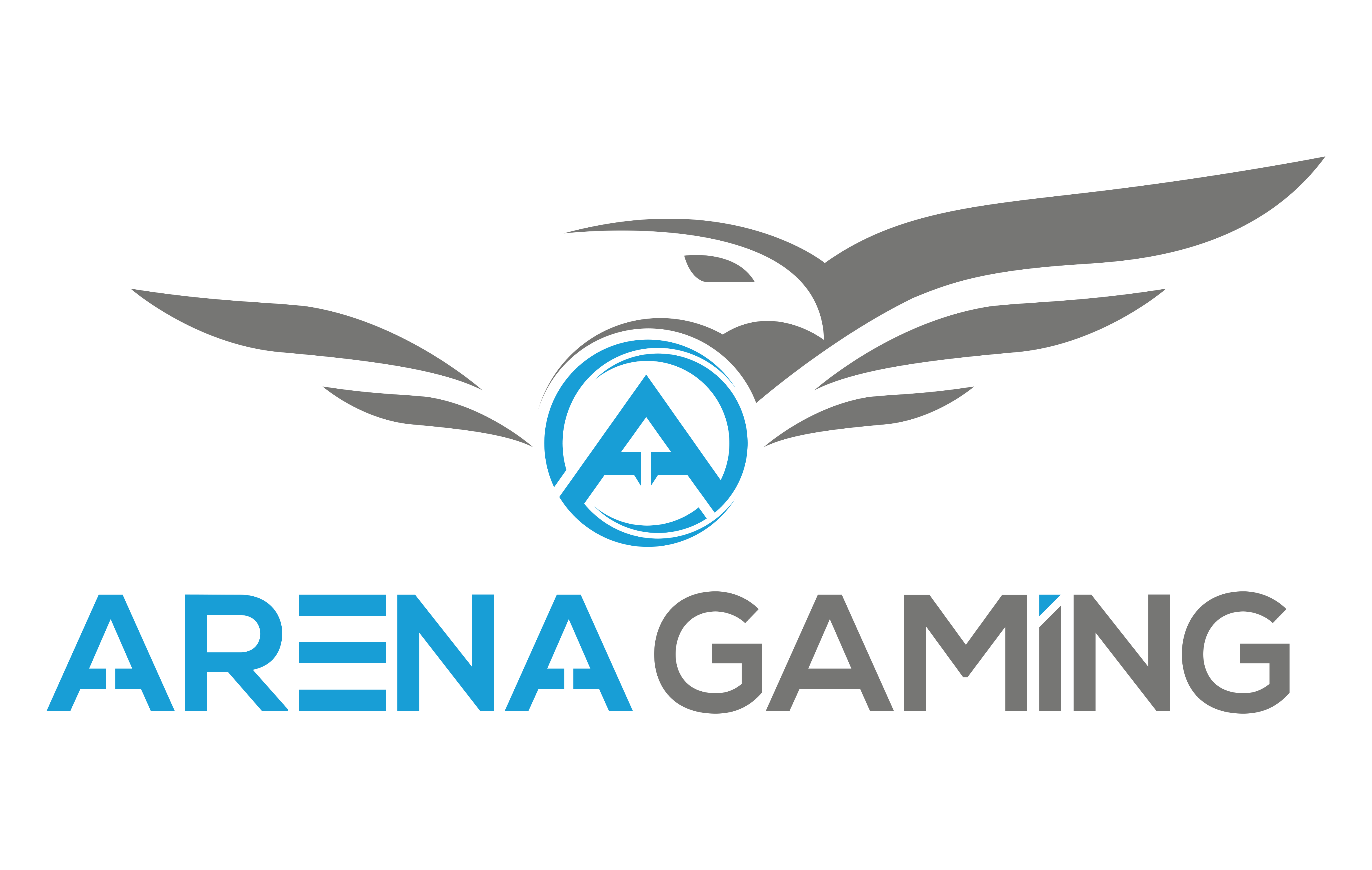Logo de Arena Gaming
